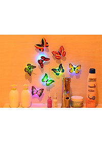 product-img-7