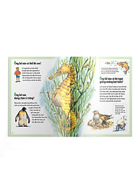 Sách Em muốn biết vì sao kangaroo có túi và những câu hỏi khác về con non