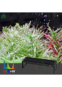 Đèn led Week Aqua New V series Ver.3 WRGB quang phổ cây bể thủy sinh cá tép cảnh
