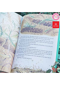 Sách - Truyện Tranh Khoa Học Về Các Loài Côn Trùng - Đom Đóm, Bọ Ngựa, Ve Sầu Và Sâu Bắp Cải - Đinh Tị Books