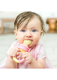 Túi Nhai Ăn Dặm Kích Thích Ngon Miệng Chính Hãng NatureBond Dựa Trên Nghiên Cứu FDA Hoa Kỳ Chống Hóc 6 Núm (3 Sizes)