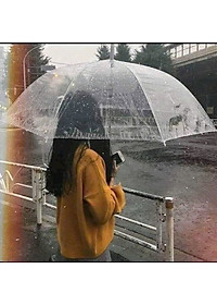 Ô đi mưa trong suốt - dù che mưa che nắng trong suốt, bền- đẹp