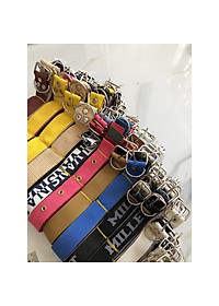 Dây đai đeo cổ chó,mèo