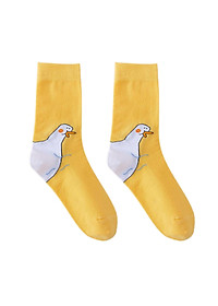 product-img-5