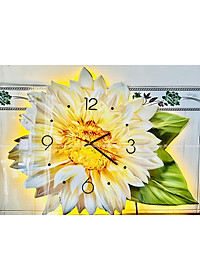 product-img-2