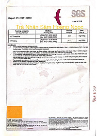 [Date xa] Trà nhân sâm hũ 100g - Hoang Ngoc Global