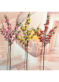 product-img-7