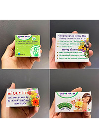 Bột Dưỡng Hoa Hồng Lâu Tàn (Set 10 hộp 1 hộp 10 gói tiết kiệm) giúp hoa luôn tươi mới, cánh hoa hồng cứng cáp gấp 2 lần và trong 14 ngày không thối nước hay cắt tỉa gốc hoa (hiệu Longlife nhập khẩu Israel)