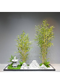 product-img-10
