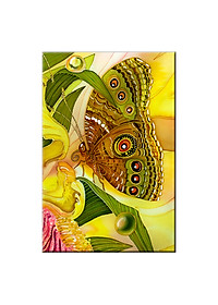 product-img-0