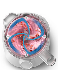 Máy Xay Sinh Tố Philips HR2041/30 (450W) - Hàng Chính Hãng