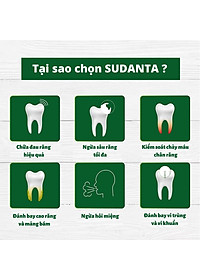 Kem Đánh Răng Thảo Dược Sudanta Sri Sri Tattva - Không Chứa Flouride, 100% Thuần Chay, Chắc Răng, Thơm Miệng, Ngừa Các Bệnh Từ Răng Miệng, Nướu Bằng Y Hoc Cổ Truyền Ayuveda