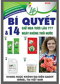 product-img-14