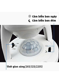 product-img-6