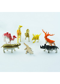product-img-5