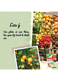 product-img-7