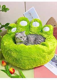 product-img-10