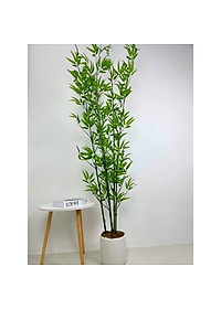 product-img-7