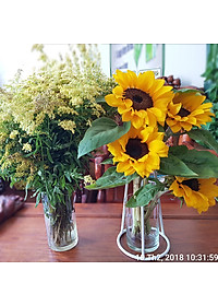 product-img-5
