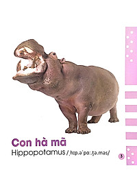 Từ Điển Bằng Hình Cho Bé - Các Loài Động Vật - Animals