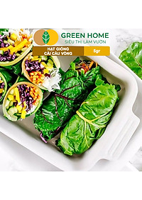 Hạt Giống Rau Cải Cầu Vồng Greenhome, Gói 5g~200 hạt, Dễ Trồng Quanh Năm, Nảy Mầm Cao, Thu Hoạch Nhanh, Năng Suất Cao R06