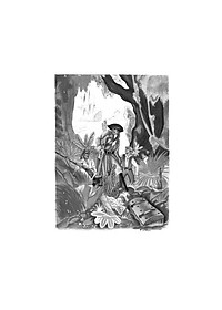 product-img-3