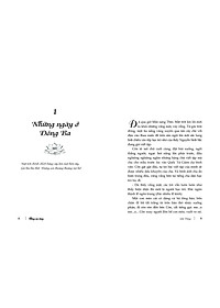 product-img-7