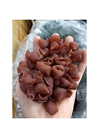 Nui gạo lứt hình sò gói 300GR NT Food, nuôi sò gạo lức ăn kiêng eatclean