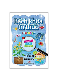 product-img-1