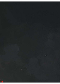 Cây Bách Xù - Truyện Cổ Grimm Kinh Dị Được Kể Bằng Tranh