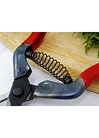 Kéo tỉa cành cao cấp Nhật Bản Chikamasa T-5C chiều dài lưỡi 35mm - lưỡi thép không gỉ chất lượng cao siêu bén - Cắt ngọt, không bám dính, liền sẹo nhanh