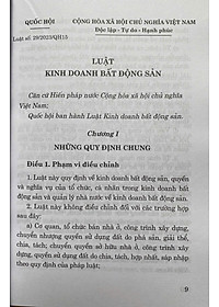 Luật Kinh Doanh Bất Động Sản  Năm 2023 ( Sửa đổi, bổ sung năm 2024 )