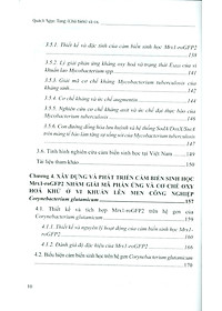 product-img-7