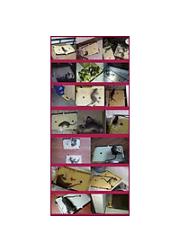 product-img-6