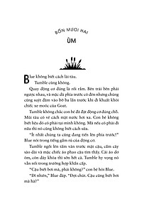 product-img-13