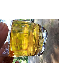 Đặc Sản Kon Tum - Nấm Hồng Chi (Linh Chi Rừng) Việt Nam Hỗ Trợ Hạn Chế U Khối Ác Tính (1Kg) - OCOP 3 Sao