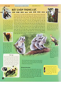 Sách Di Chuyển Và Di Cư