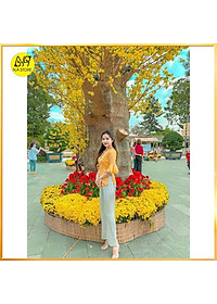 Bộ Đi Lễ Chùa - Đồ Lam Nữ Đi Chùa Đẹp Cao Cấp Trang Nhã Vải Lụa Tay Xòe 2021 Dành Cho Phật Tử Mới - AL003