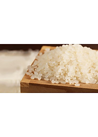 Gạo Nhật Japonica Túi 5Kg ( A An)  - Hạt tròn, cơm ngọt, rất dẻo, hạt cơm kết dính