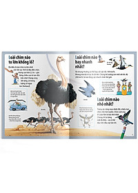 Sách Em Muốn Biết Vì Sao Ngỗng Trời Bay Xa Và Những Câu Hỏi Khác Về Chim 
Chóc