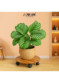 Đế Lót Chậu Cây Có Bánh Xe Cỡ Lớn Đường Kính 35cm Dùng Để Đặt Chậu Cây Chậu Hoa Trong Nhà Và Ngoài Sân