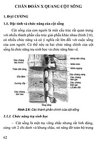 product-img-8