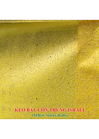 product-img-4