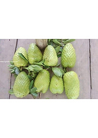 product-img-0