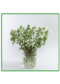product-img-14