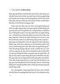 product-img-11
