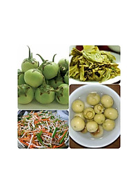 Hộp Muối Dưa Cà Nhựa PP Cao Cấp Có 2 size, Hũ Muối Dưa Cà, Hành, Kim Chi, Măng Ớt, Rau Củ Giòn Ngon- Hàng Chính Hãng MINIIN