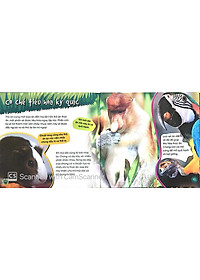 Sách Độc Lạ Phi Thường - Loài Ăn Chay