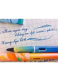Bút luyện chữ đẹp Hoàng Ngọc T010