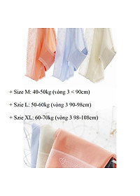 Set 5 Chiếc Quần Lót Su Nữ Nâng Mông Kháng Khuẩn - Quần Lót Nữ Viền Ren Không Đường Viền - Quần Lót Nữ Cao Cấp